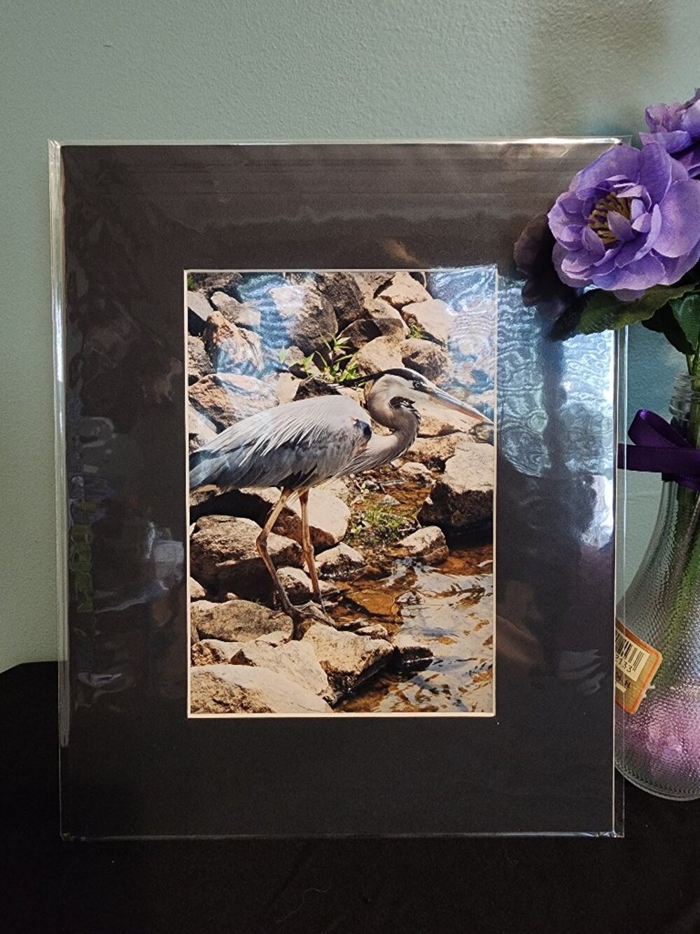2/$13 Great Blue Heron Photography Print with Black Matte Frame - 8x10